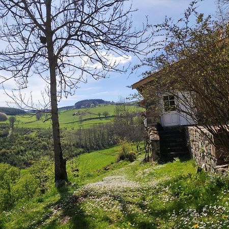 Maison De Charme Dans La Nature 8 Personnes Villa Saint-Didier-sur-Beaujeu Esterno foto