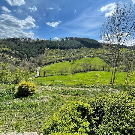 Maison De Charme Dans La Nature 8 Personnes Villa Saint-Didier-sur-Beaujeu Esterno foto