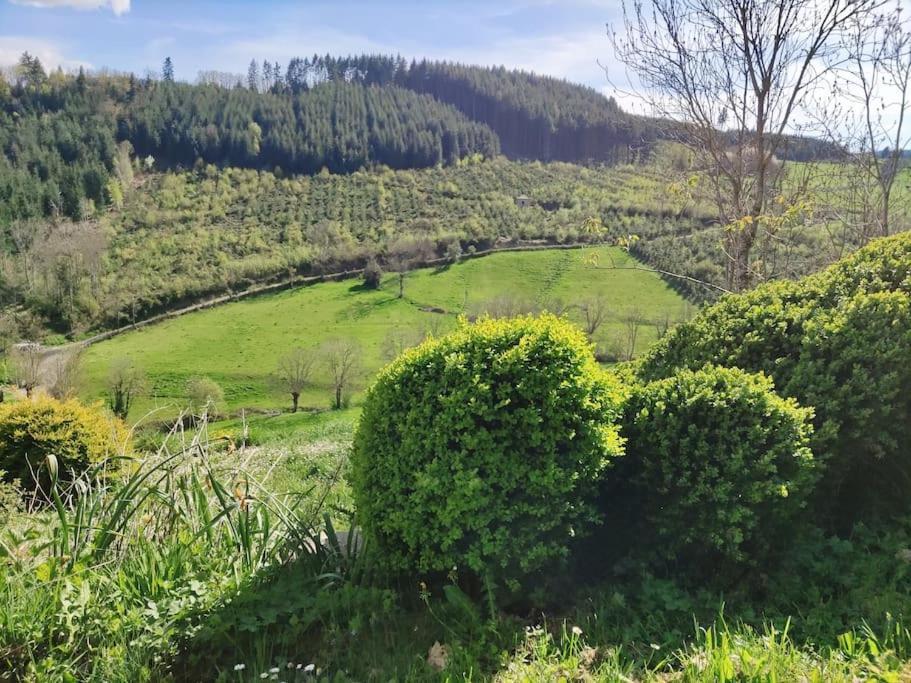 Maison De Charme Dans La Nature 8 Personnes Villa Saint-Didier-sur-Beaujeu Esterno foto