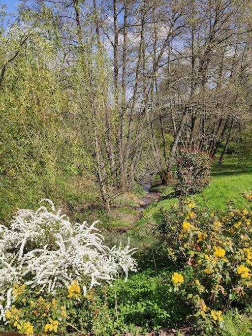 Maison De Charme Dans La Nature 8 Personnes Villa Saint-Didier-sur-Beaujeu Esterno foto