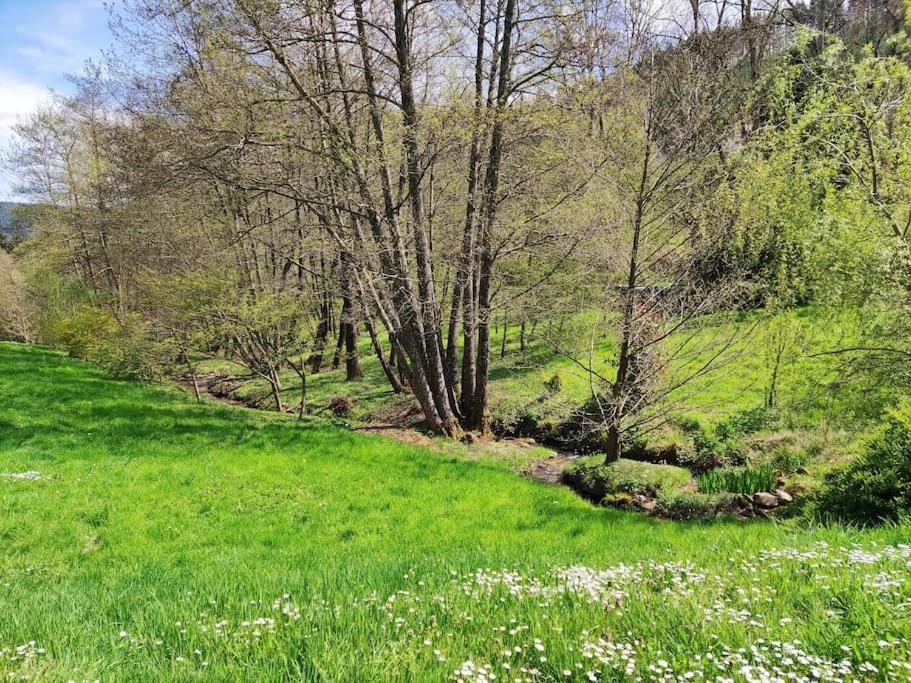 Maison De Charme Dans La Nature 8 Personnes Villa Saint-Didier-sur-Beaujeu Esterno foto