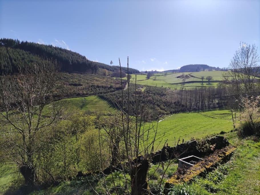 Maison De Charme Dans La Nature 8 Personnes Villa Saint-Didier-sur-Beaujeu Esterno foto