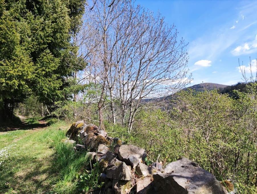 Maison De Charme Dans La Nature 8 Personnes Villa Saint-Didier-sur-Beaujeu Esterno foto