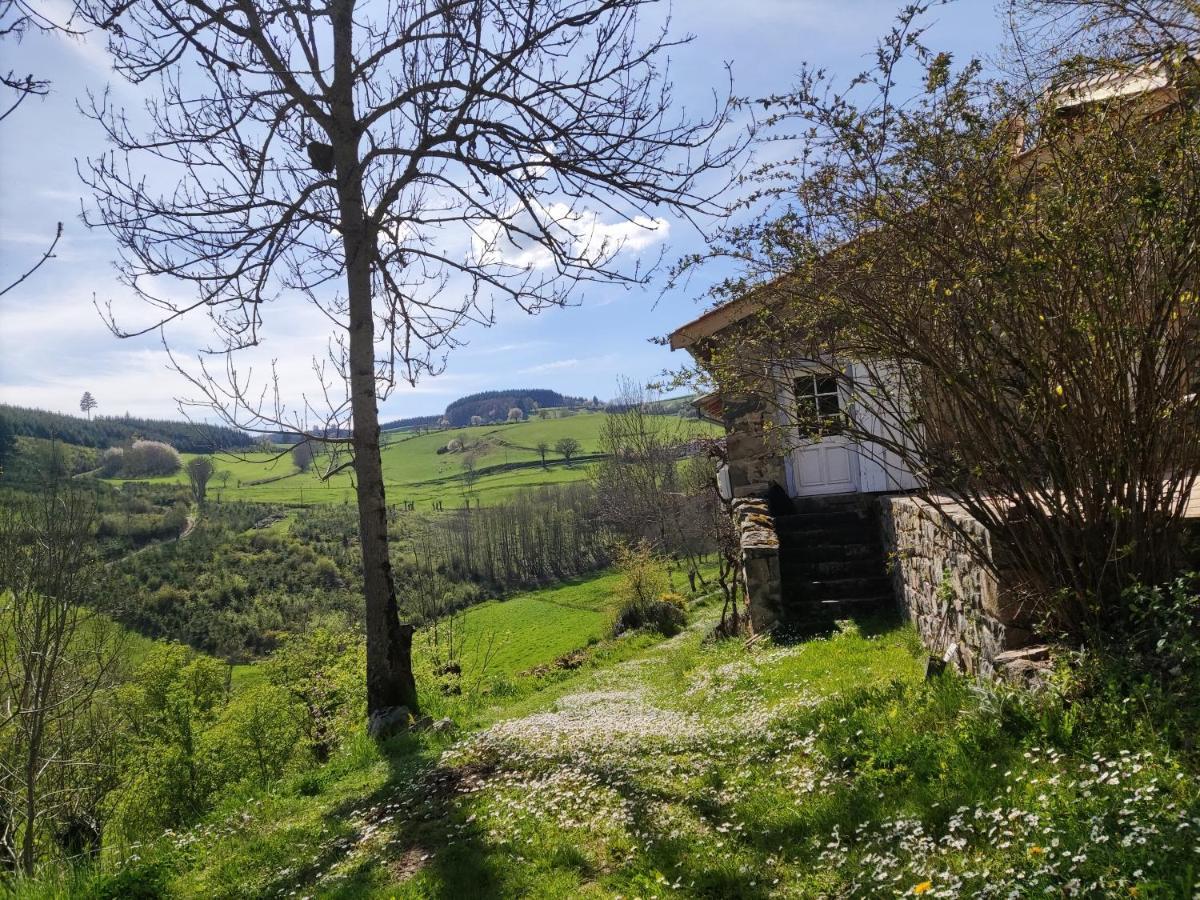 Maison De Charme Dans La Nature 8 Personnes Villa Saint-Didier-sur-Beaujeu Esterno foto