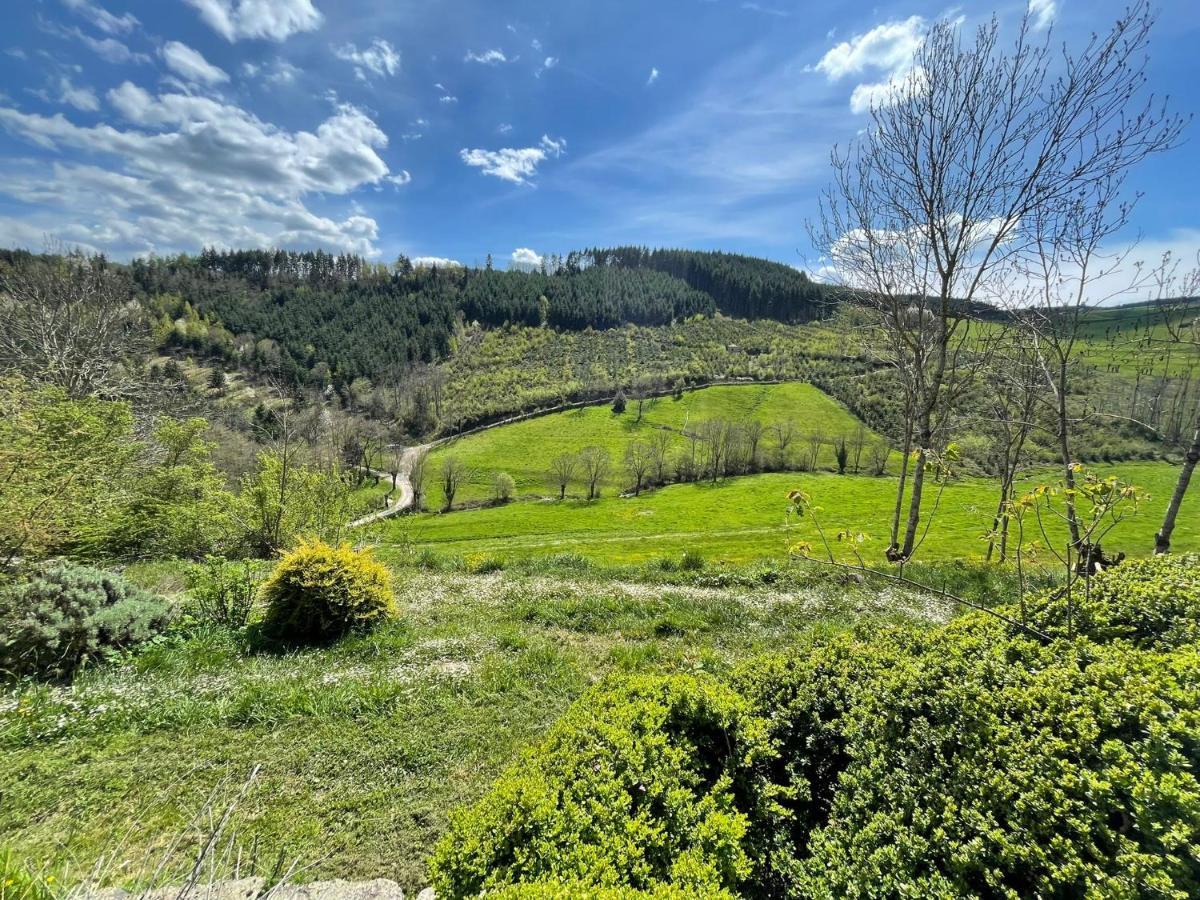 Maison De Charme Dans La Nature 8 Personnes Villa Saint-Didier-sur-Beaujeu Esterno foto